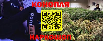 мяу мяу мука Партизанск