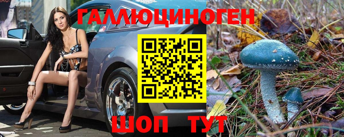как найти наркотики  Галлюциногенные грибы Psilocybine cubensis  Вход с VPN  Тамбов 